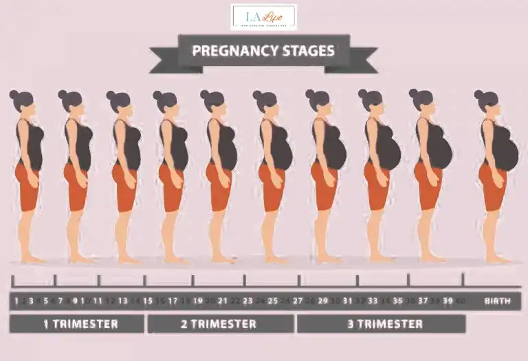 First Trimester (Weeks 1–12): Early Changes You Might Not Notice North Wembley